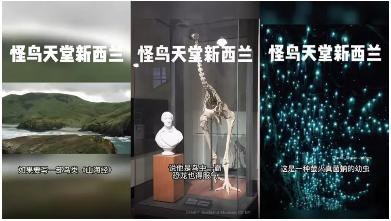屏幕快照 2022-10-12 上午10.18.57.png