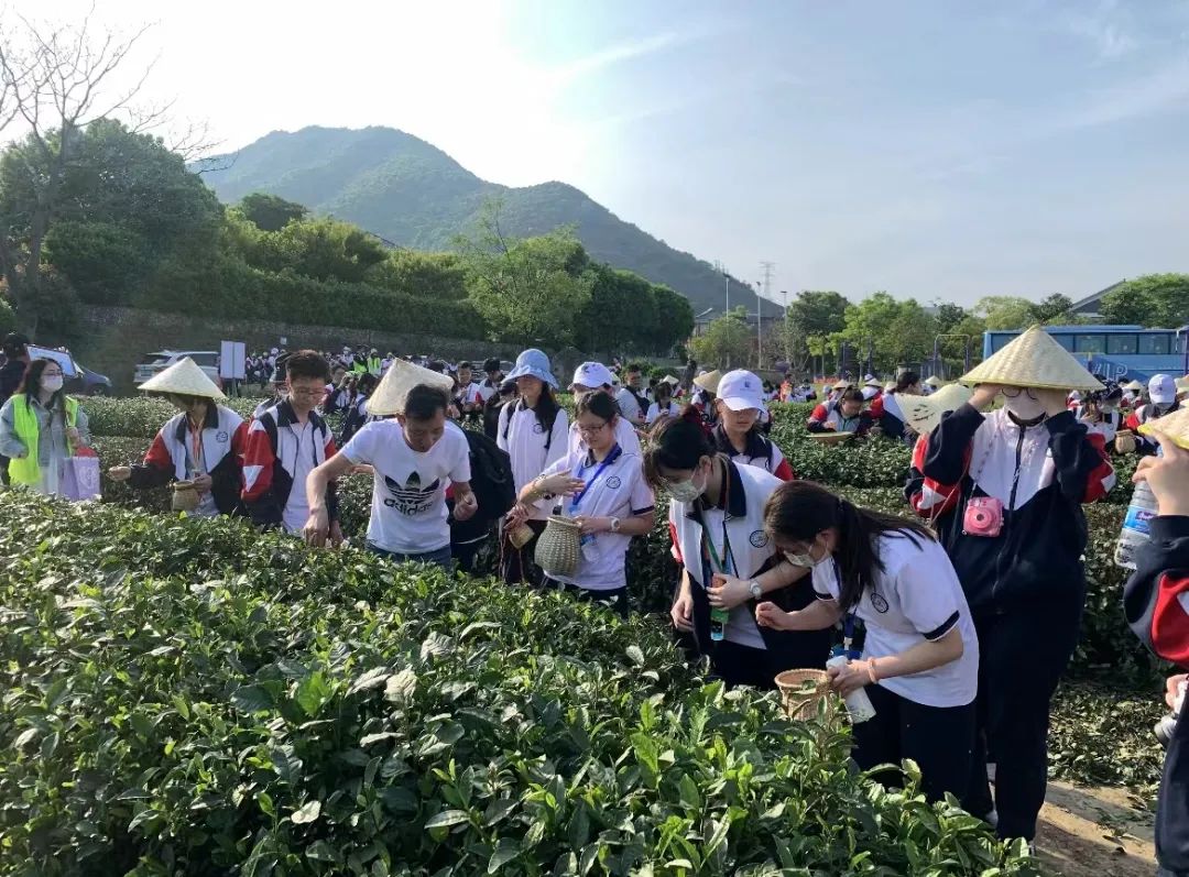 网站11.jpg