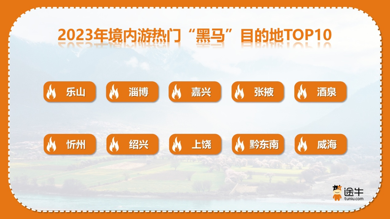 网站8.png