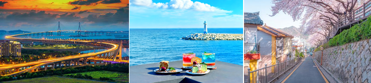 皇家加勒比焕新“海洋光谱号”2026-27年航线部署计划