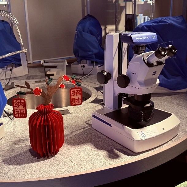 图片8.jpg 图片8.jpg