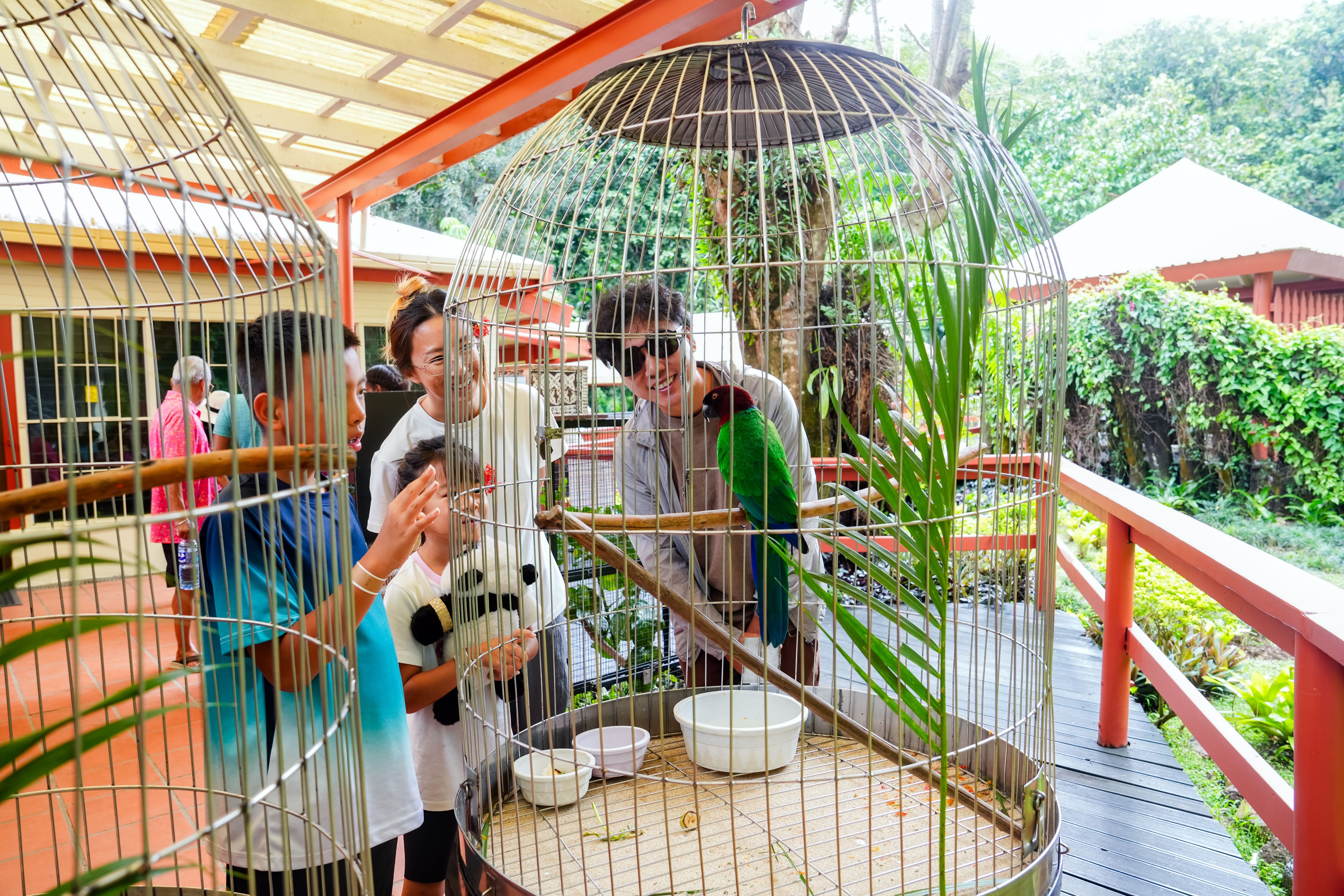 图片5-斐济库拉野生冒险公园(Kula Wild Adventure Park)(1).jpg